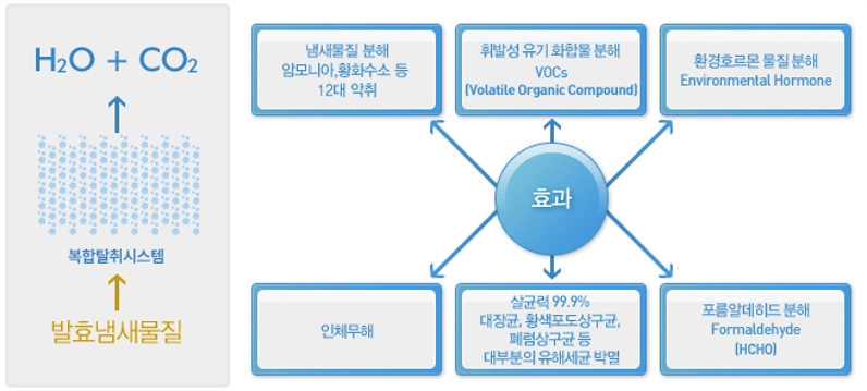 음식물 소멸의 원리
